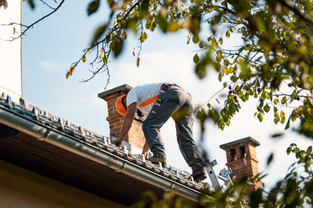 Best Commercial Roof Installation  in Tuskegee, AL